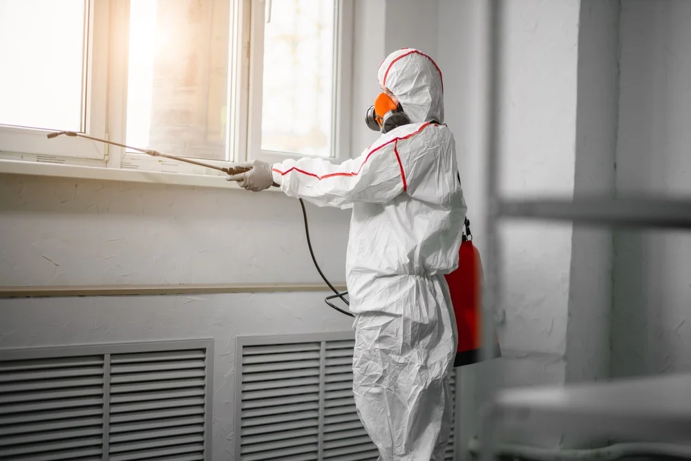 Professional mold remediation services in Maumee, OH